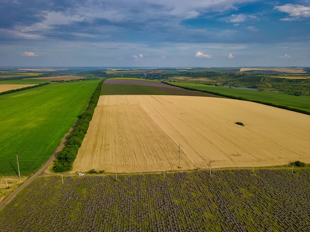 Vista aerea di un paesaggio con campo di lavanda e grano