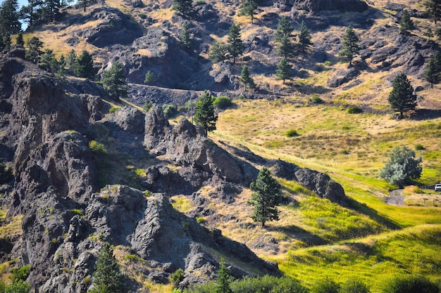 aerial view of landscape