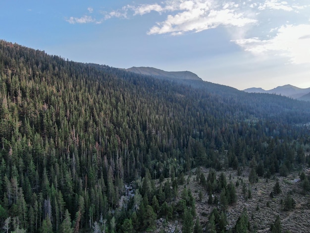 Aerial view of Lee Vining Mountain USA