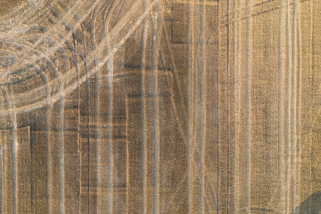 Aerial view looking directly down onto a frshly harvested corn field