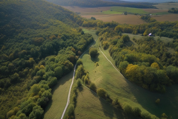 An aerial view of a lush green valley generative AI