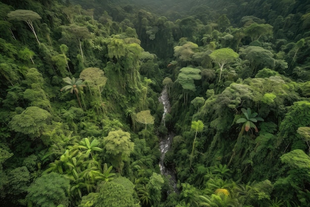 Aerial view of lush jungle filled with waterfalls and wildlife created with generative ai