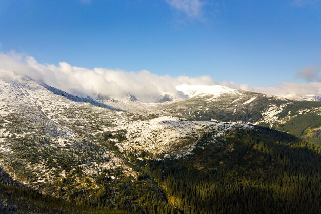 緑のトウヒの森と高い雪の峰に覆われた雄大な山々の空撮。