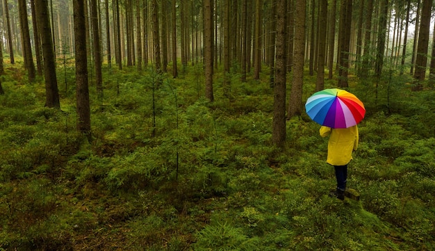 Aerial view of man holding rainbow umbrella in the dark pine tree forest - view from a drone