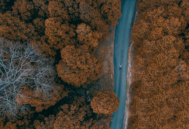 Взгляд с воздуха на человека на дороге среди деревьев