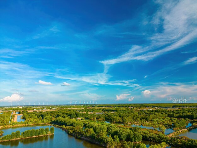 Aerial view of mangrove forest and shrimp farming windmill farm with high wind turbines for generation electricity with copy space in Tra Vinh province Vietnam Nature and landscape concept