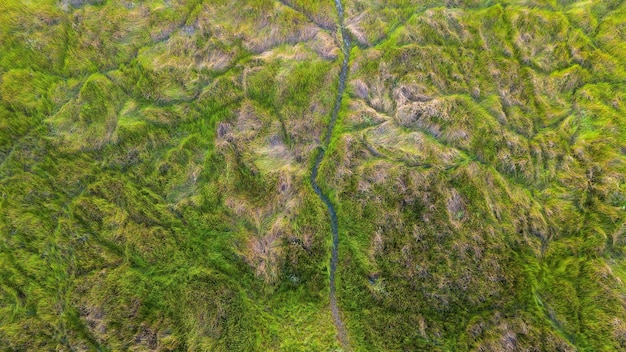 Foto veduta aerea del prato in zona umida