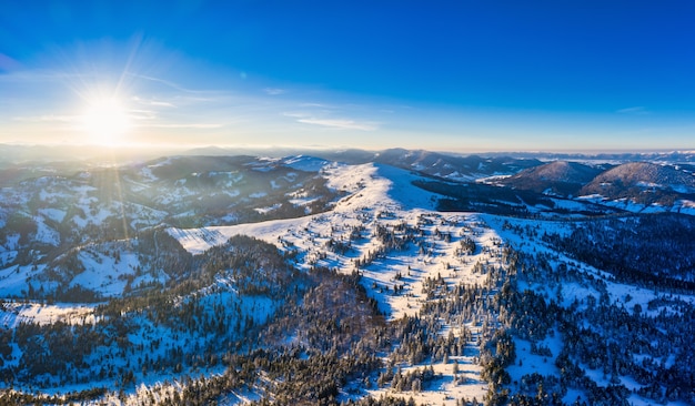 Вид с воздуха на завораживающий живописный пейзаж стройных высоких елей, растущих на заснеженных холмах в солнечную зиму и ясный день на фоне голубого неба. Место для рекламы