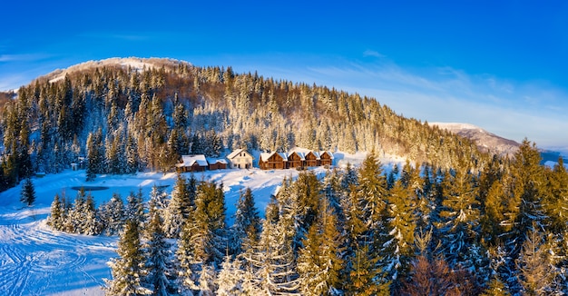 Vista aerea di affascinante paesaggio pittoresco di abeti alti e sottili che crescono su colline innevate in un inverno soleggiato e una giornata limpida contro un cielo blu.