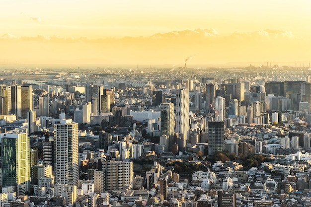 夕暮れ の 時 に 都市 の 空 に 照らさ れ て いる 現代 の 建物 の 空景