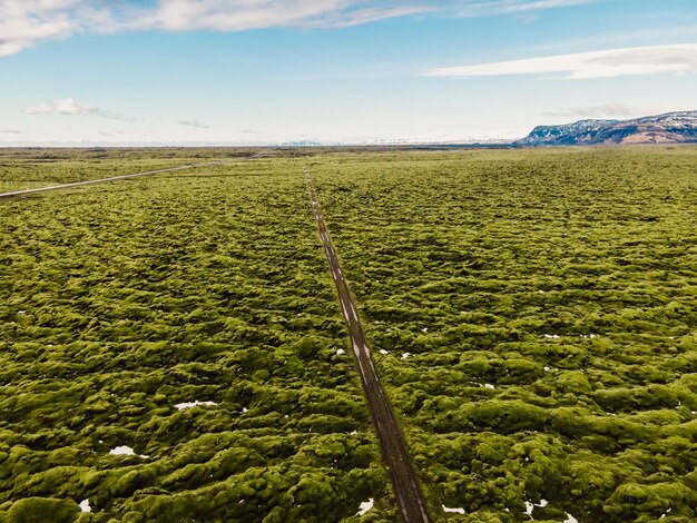 Aerial view of mossy lava field in iceland europe greeen moss\
covered volcanic lava field