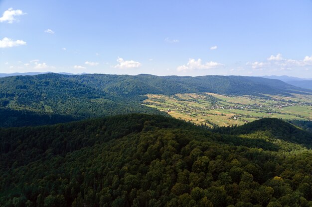 明るい夏の日に密な緑豊かな森に覆われた山の丘の空撮。