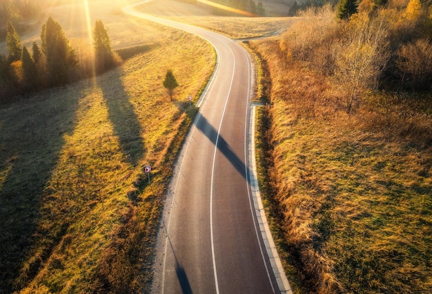 Aerial view of mountain road in forest at sunset in autumn Top view from drone of road in woods Beautiful landscape with roadway in hills pine trees green meadows golden sunlight in fall Travel