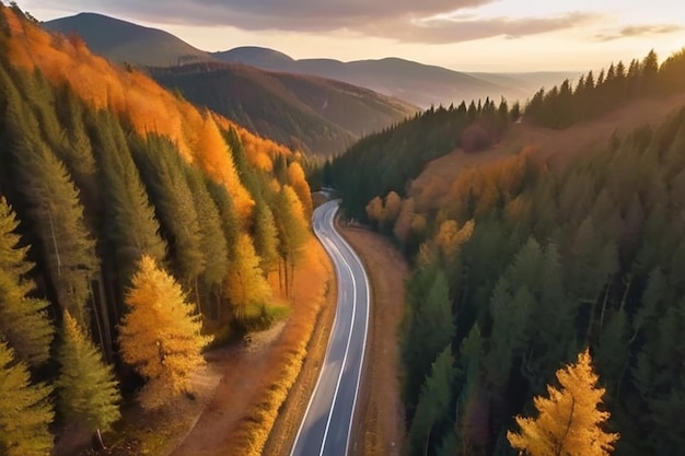 Aerial view of mountain road in forest at sunset in autumn Top view from drone of road in woods