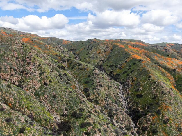 カリフォルニア ゴールデン ポピーとゴールドフィールズがウォーカー キャニオンに咲く山の空撮