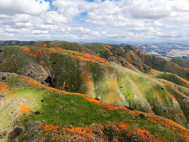 カリフォルニア ゴールデン ポピーとゴールドフィールズがウォーカー キャニオンに咲く山の空撮