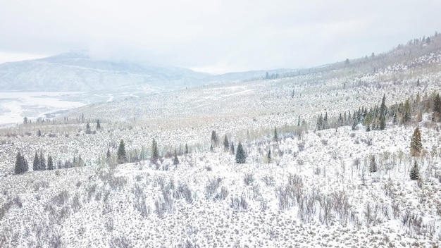 Aerial view of mountains in the Winter.