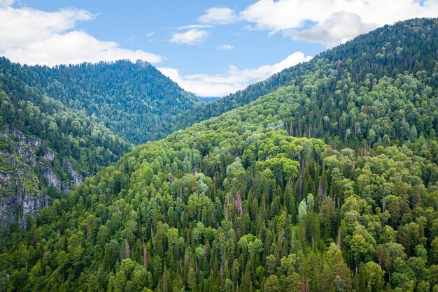 Вид с воздуха на горы с зелеными деревьями в теплый ясный солнечный день в горах Алтая
