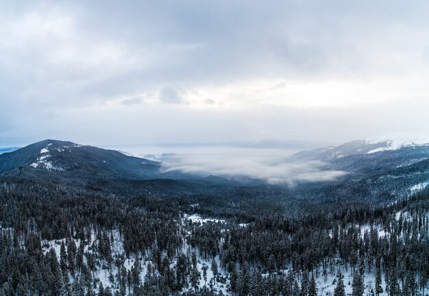 Aerial view of the mystical landscape of a winter mountain forest on a cloudy frosty day.