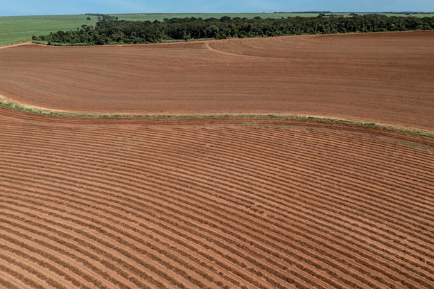 Aerial view of newly planted sugarcane field