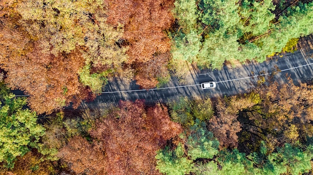 秋の風景と上から、黄色、緑、赤の黄金の秋の木々と車の田舎道からの道の空撮