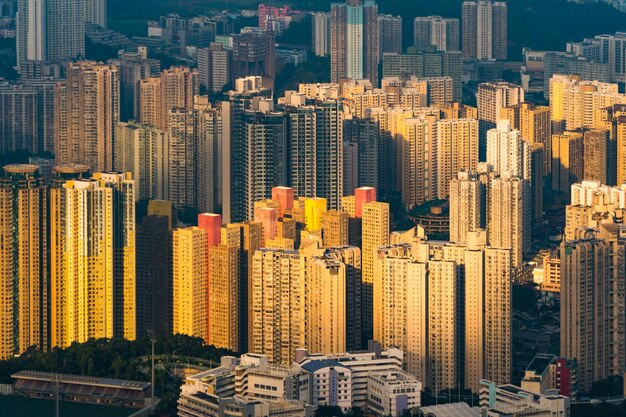 写真 都市の建物の空中写真