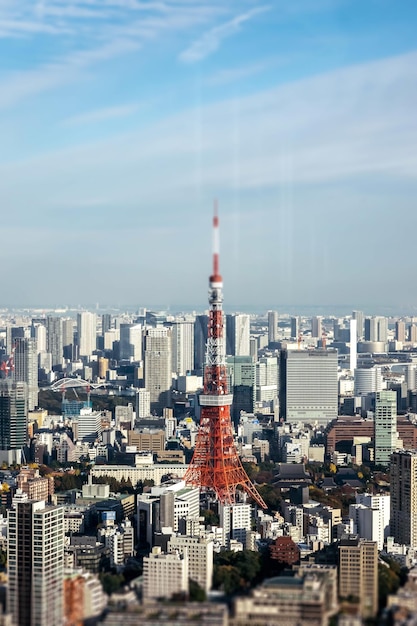 写真 都市の建物の空中写真