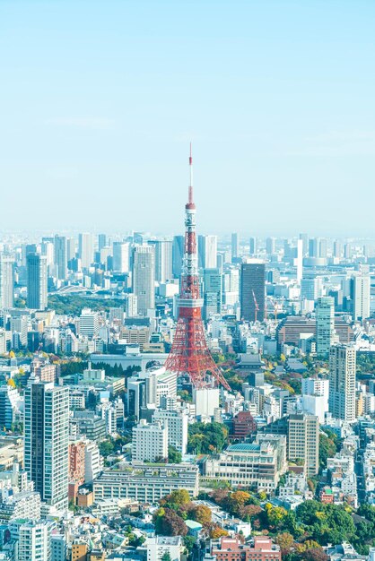 写真 都市の建物の空中写真