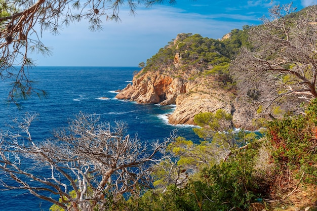 写真 夏の朝のコスタのトッサデマール近くのバレアス海のカラポーラ湾岸の空撮...