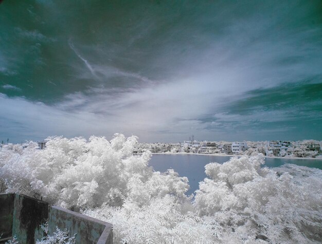 写真 都市風景の空中写真