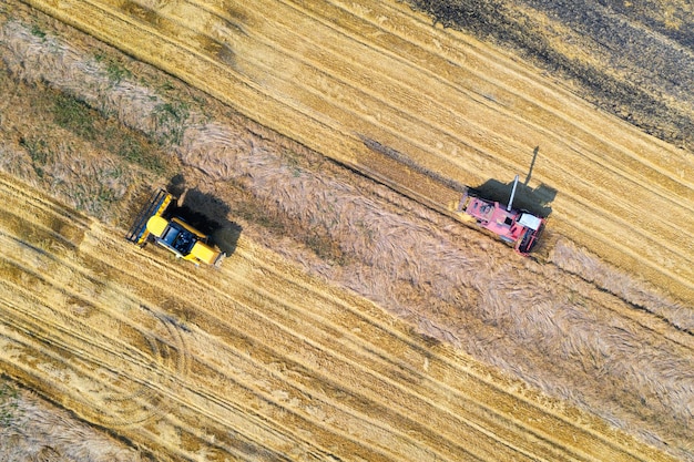 コンバインの空中写真は夏の日没時に小麦を収穫しています農業風景黄色い小麦畑で作業している収穫機農業機械と熟した小麦の上面図