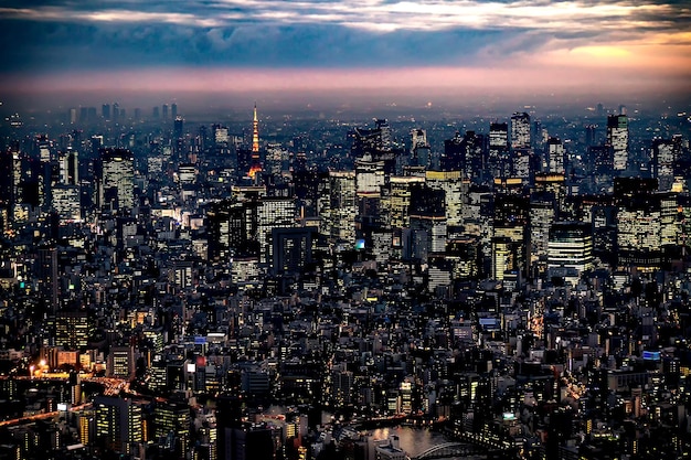 写真 空から見た空に照らされた都市風景
