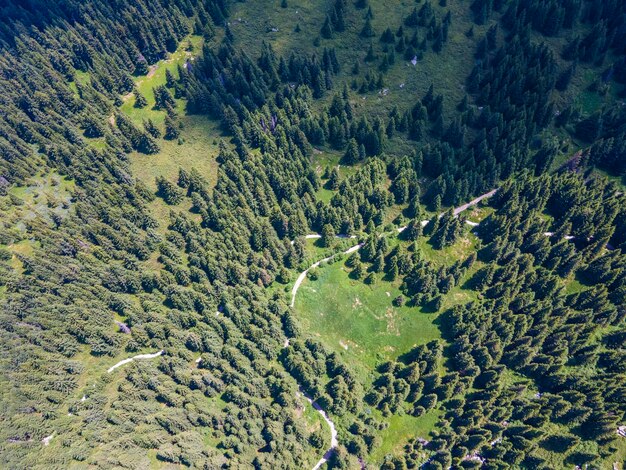 写真 ブルガリアのヴィトシャ山にあるコニャルニカ地域の空中写真