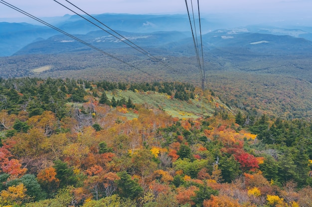 写真 青森東北の八甲田ロープウェイと八甲田山から森の森の紅葉秋秋シーズンの航空写真