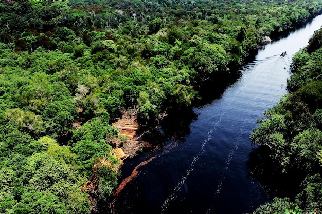 Фото Воздушный вид реки, протекающей среди леса