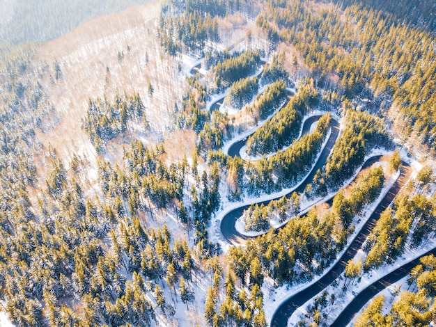写真 冬の森の中の道路の空中写真