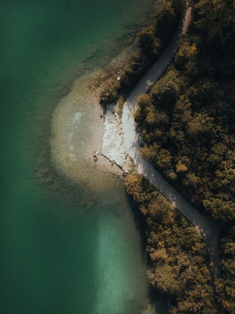 写真 森の木の間にある道路の空中写真