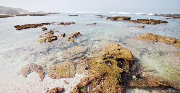 写真 ビーチの岩の空中写真