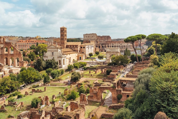 イタリア、ローマ、パラティーノ山からのフォロロマーノの空撮