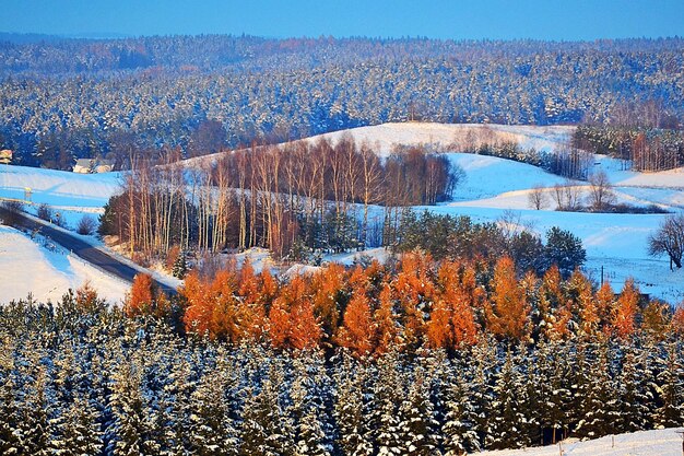 写真 雪で覆われた景色の空中写真