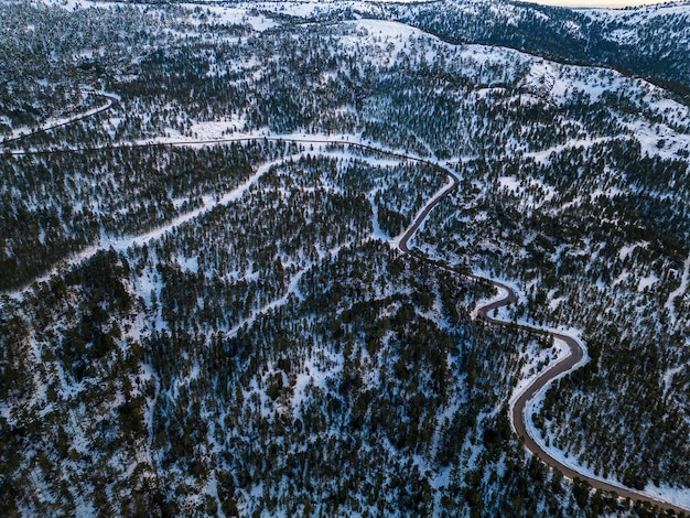 Фото Вид с воздуха на заснеженный лес с дорогой, снятой сверху с помощью дрона