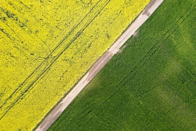 写真 晴れた春または夏の日に菜の花が咲くと緑と黄色のフィールドでまっすぐな地上道路の空撮。ドローン写真。