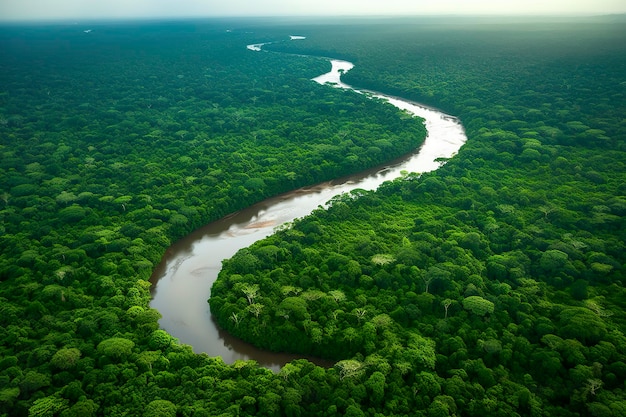 写真 川が曲がるアマゾナスのジャングル風景の空撮 生成 ai