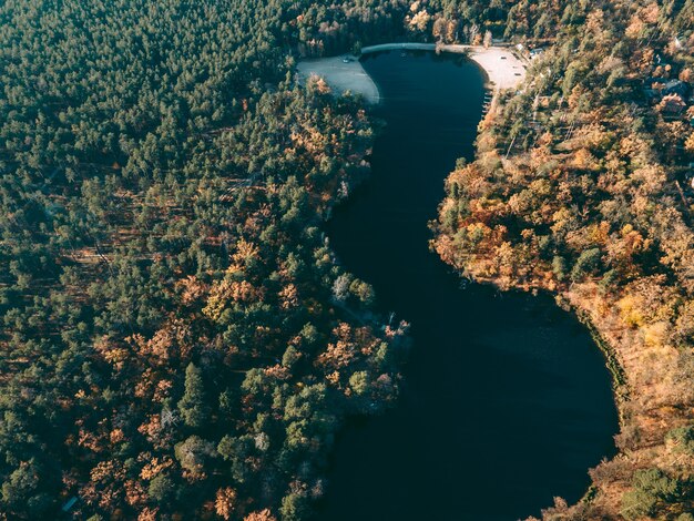 Фото Вид с воздуха на осенний лес у реки днем
