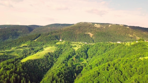 写真 カルパティア山脈と農地の果てしなく続く緑豊かな牧草地の空中写真耕作された農地日没時の田舎の山の風景ウクライナ