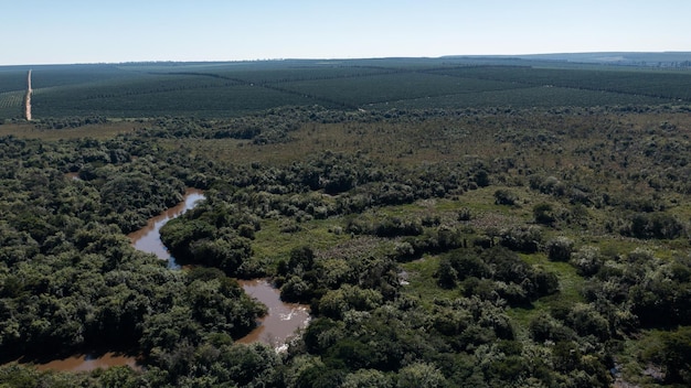 사진 자카레 페피라 강(jacare pepira river)과 상파울루 바리리(bariri sao paulo) 시의 강기슭 숲의 공중 전망