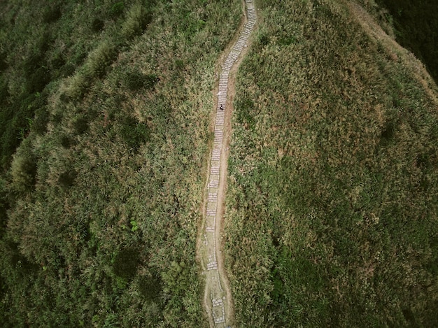 Фото Воздушный вид тропы на суше