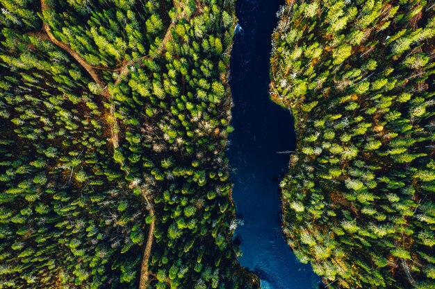 写真 フィンランドの夏の野生の緑の森と青い湖と川の空撮