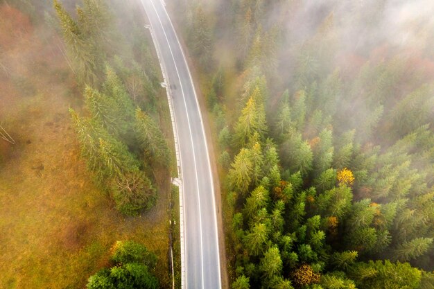 Aerial view og curvy road between evergreen forest with green pine trees in summer mountains.