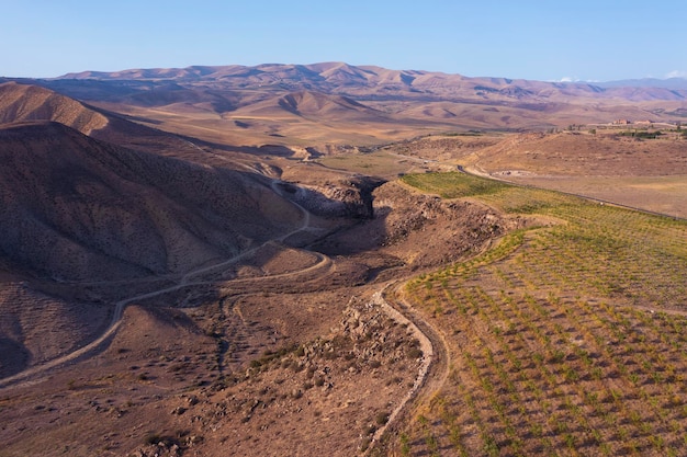 aerial view olive fields gardens in mountains sunset lights agriculture background texture